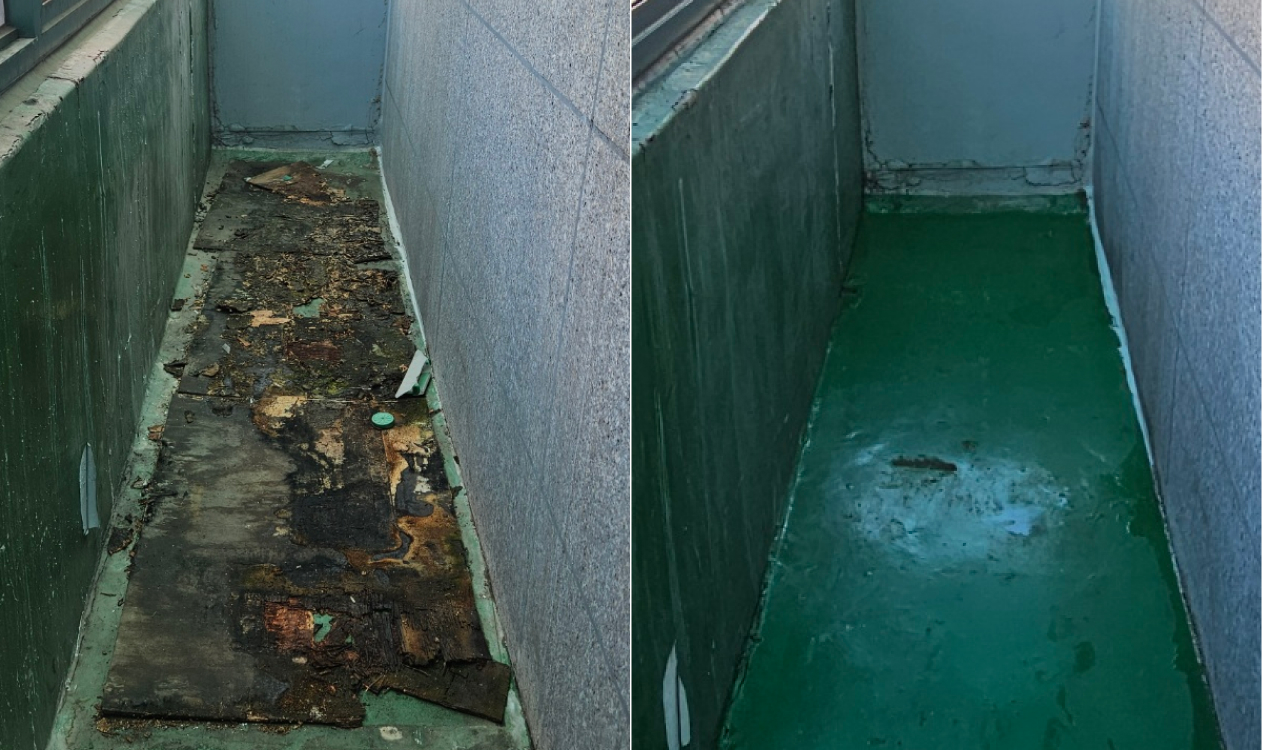 비포 애프터 사진